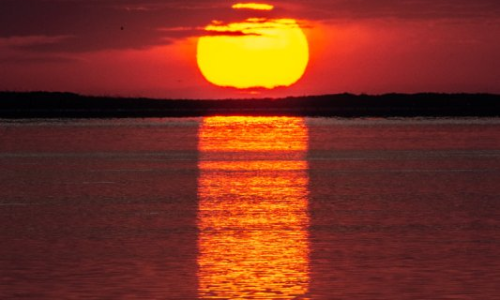 Sortida  Delta