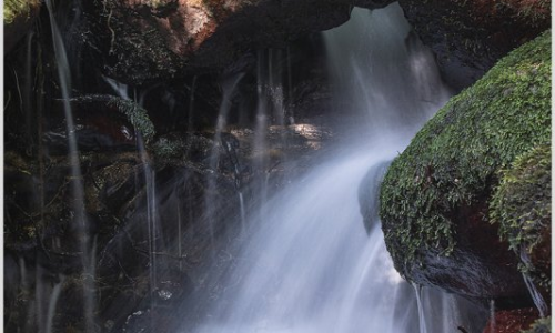 Sortida Riera de Riells