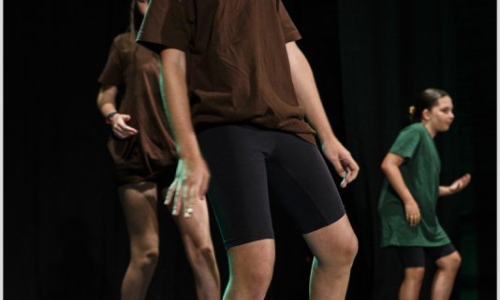 Festival de Dansa MiD Palafolls