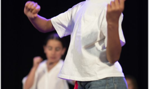 Festival de Dansa MiD Palafolls