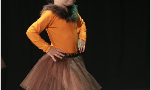 Festival de Dansa MiD Palafolls