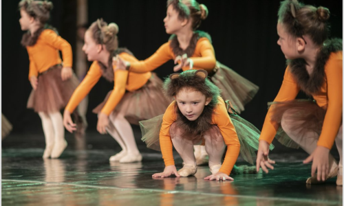 Festival de Dansa MiD Palafolls