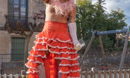 Sortida "Dia del Circ" Breda