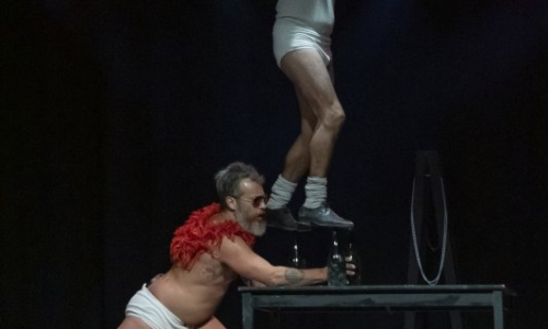 Sortida "Dia del Circ" Breda