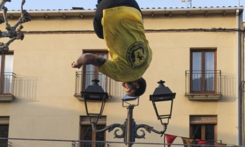 Sortida "Dia del Circ" Breda