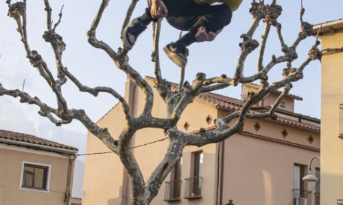 Sortida "Dia del Circ" Breda