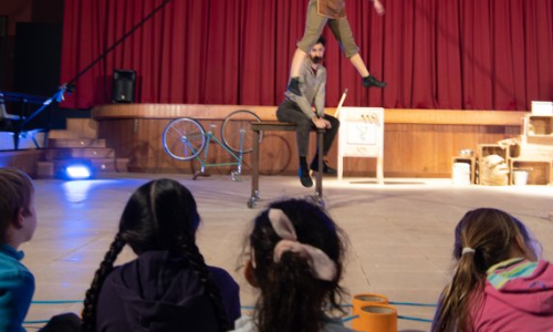 Sortida "Dia del Circ" Breda