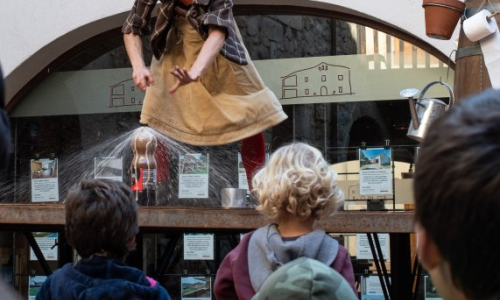 Sortida "Dia del Circ" Breda