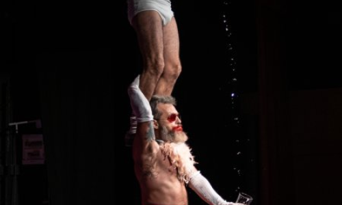 Sortida "Dia del Circ" Breda