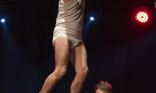 Sortida "Dia del Circ" Breda