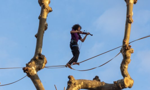 Sortida "Dia del Circ" Breda