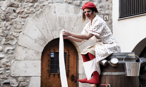 Sortida "Dia del Circ" Breda