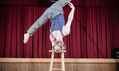 Sortida "Dia del Circ" Breda