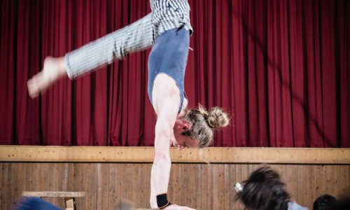 Sortida "Dia del Circ" Breda