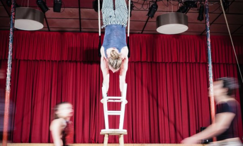 Sortida "Dia del Circ" Breda