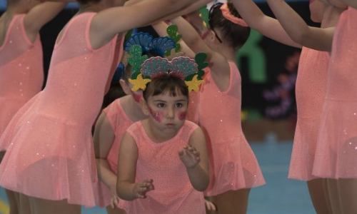 Sota el Mar - Festival de Patinatge
