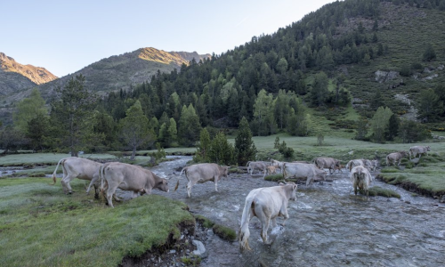 Sortida Vall Ferrera