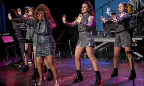 Tribut Tina Turner