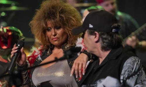 Tribut Tina Turner