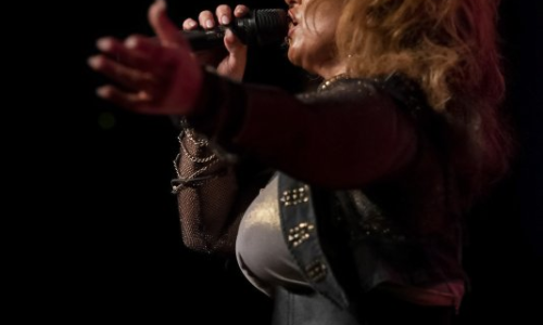 Tribut Tina Turner