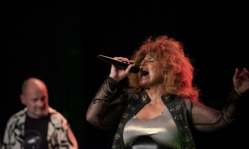 Tribut Tina Turner