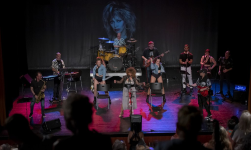 Tribut Tina Turner