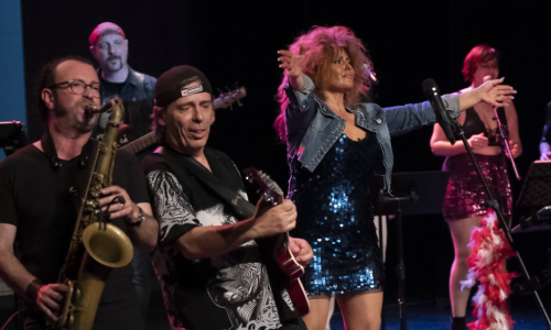 Tribut Tina Turner