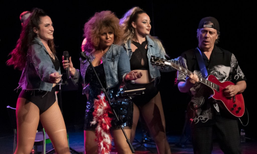 Tribut Tina Turner