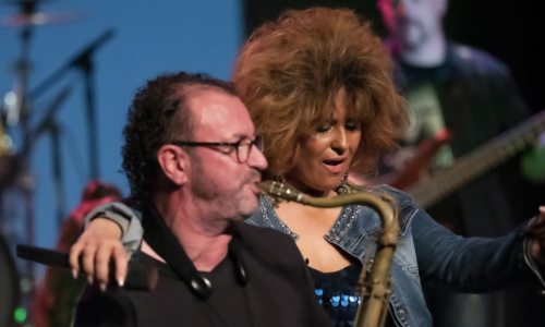 Tribut Tina Turner