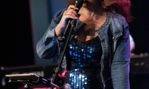 Tribut Tina Turner
