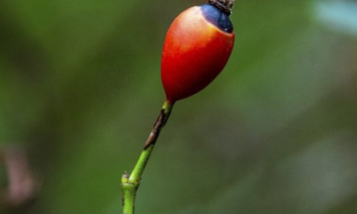 Sortida tardor