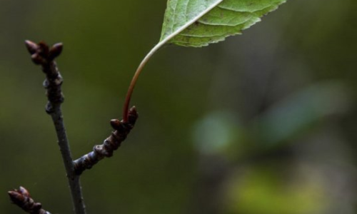 Sortida tardor