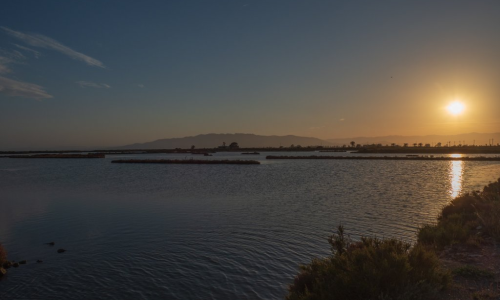 Sortida - Delta Ebre