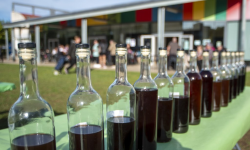 IV Aplec de la Ratafia - Glop e bosc