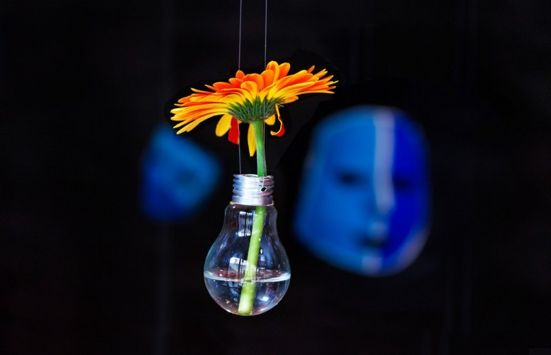 Tallers de fotografia creativa