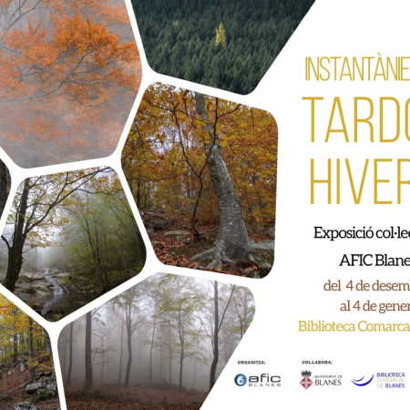 ​Exposici&oacute; "Instant&agrave;nies de tardor hivern"