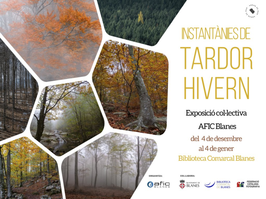 ​Exposici&oacute; "Instant&agrave;nies de tardor hivern"