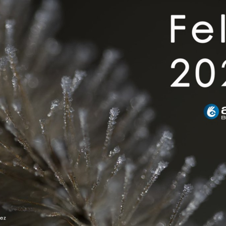 Us desitgem Feli&ccedil; 2024!
