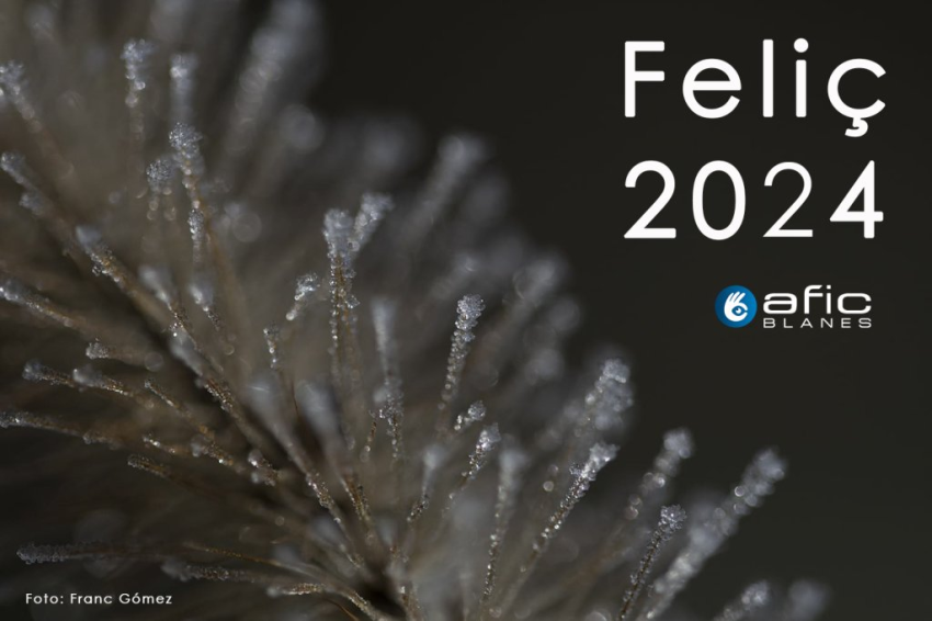 Us desitgem Feli&ccedil; 2024!