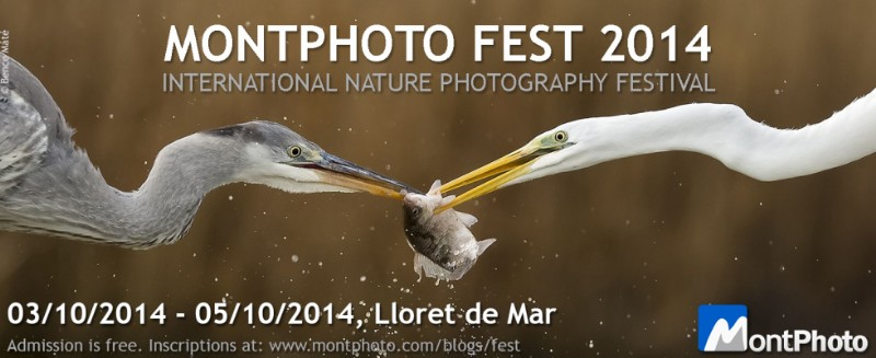 Montphoto-Concurs Internacional de Fotografia de Natura