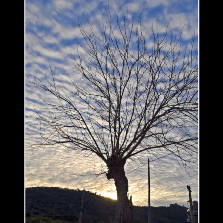 Exposició “Mirades des del poble”
