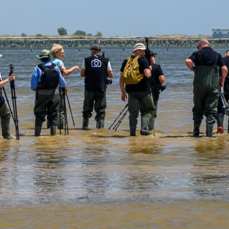 ​Sortida Fotogr&agrave;fica Delta de l'Ebre