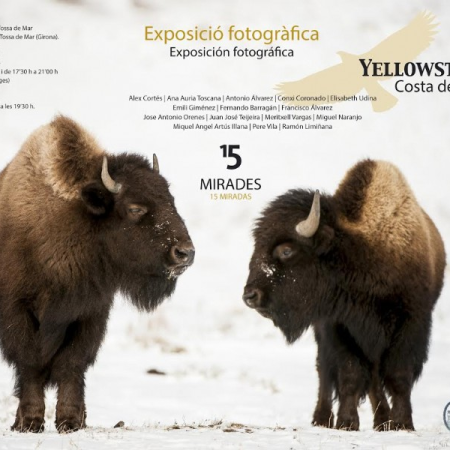 Exposició “Yellowstone i Costa del Pacific”