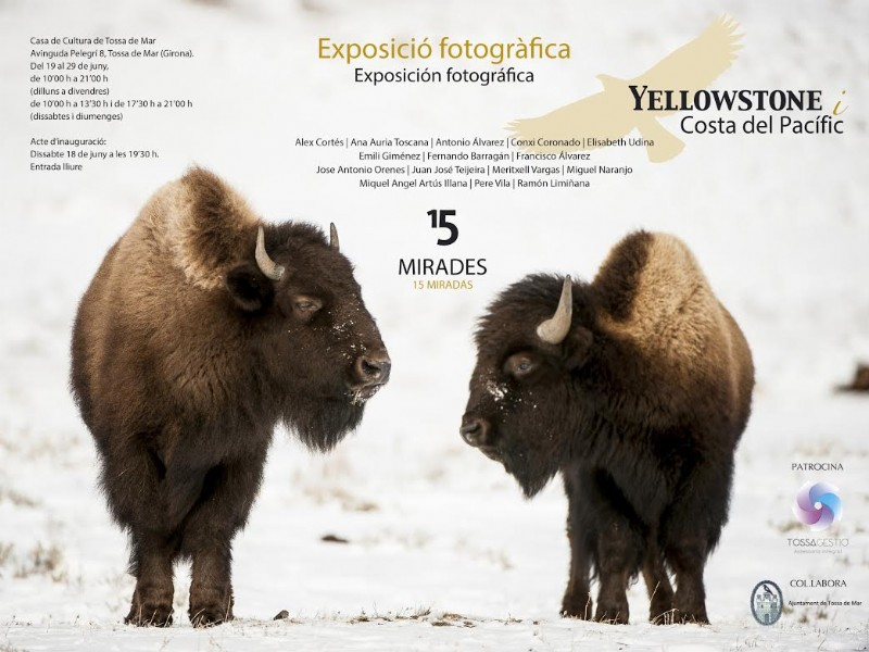 Exposició “Yellowstone i Costa del Pacific”