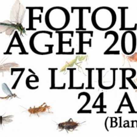 Sopar i entrega de la lliga GIRONINA a Blanes