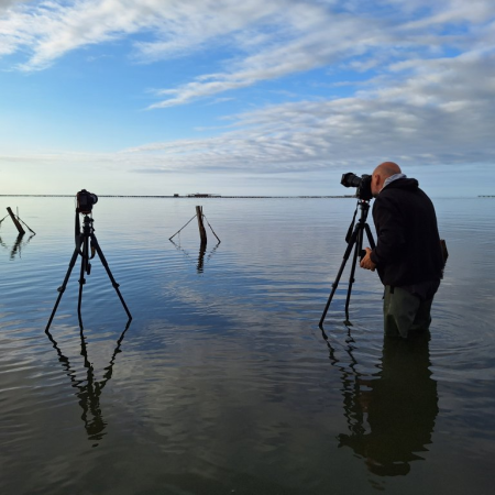​Sortida Fotogr&agrave;fica Delta de l'Ebre