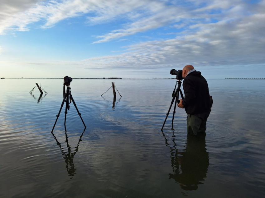 ​Sortida Fotogr&agrave;fica Delta de l'Ebre