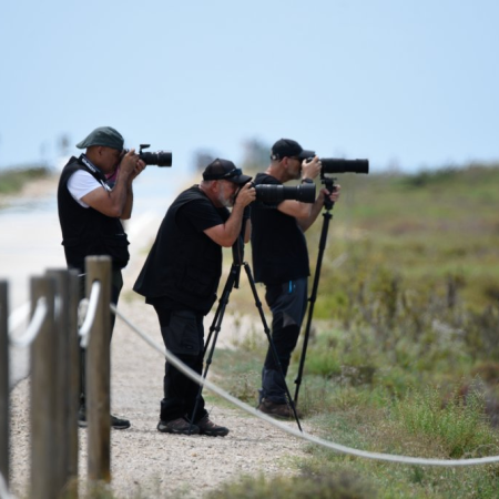 ​Sortida Fotogr&agrave;fica Delta de l'Ebre