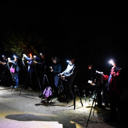 ​Sortida Fotogr&agrave;fica Delta de l'Ebre