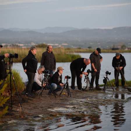 ​Sortida Fotogr&agrave;fica Delta de l'Ebre